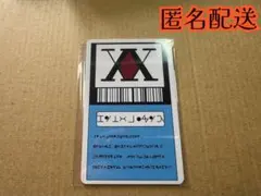 匿名配送　1枚　HUNTER×HUNTER　ハンターライセンス　ゴン　キルア