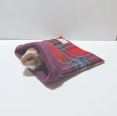 Item thumbnail for item ba84757a-1311-48e7-abcb-192b6523dd3c