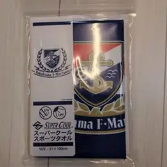 Yokohama F. Marinos スーパークールタオル 31x100cm