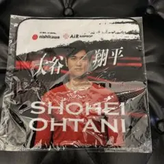 大谷翔平ミニタオルのサムネイル