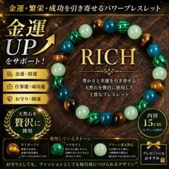 ST31*《豊かさ》* パワーブレスレット RICH 金運・繁栄