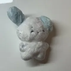 ジェヒョン　マスター　ぬいぐるみ　ボネクド　BOYNEXTDOOR　10cm