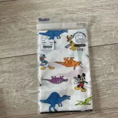 Skater ディズニー 恐竜 ランチクロスのサムネイル