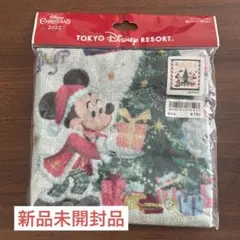 【新品未開封品】ディズニーランド2022クリスマスウォッシュタオル