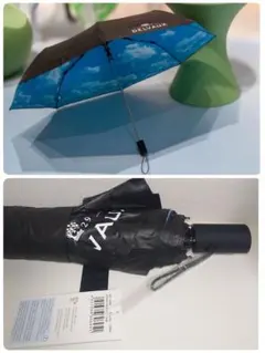 2026年最新】DELVAUX 傘の人気アイテム - メルカリ