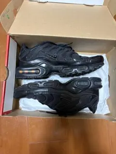 Nike Air Max Plus Triple Blackのサムネイル