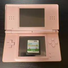 Nintendo DS Lite (おいでよどうぶつの森セット)