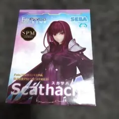 新品・未開封：未使用 Fate EXTELLA LINK SPM スカサハ