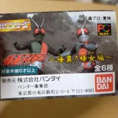 ガチャ　hg　仮面ライダー　蜂女編　5種