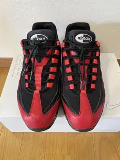【本日限り】Nike Air Max 95 BY YOU 黒×赤28cm