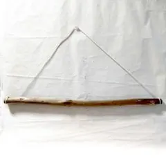 Item thumbnail for item 03badfaa-63f3-47ef-ae7e-7090d1edab3c