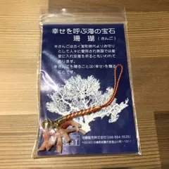 29fumi様 専用‼︎