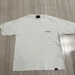 Item thumbnail for item 1a5d4575-29e5-421a-8b55-3fbfbff1c479