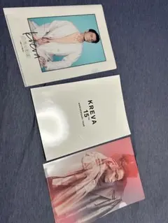 KREVA 15周年記念クリアファイル　パンフレットセット