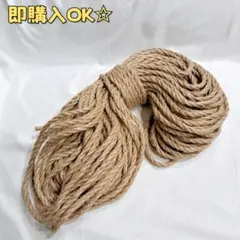 Item thumbnail for item 69b212e8-a931-4935-a406-01b582a5b7f8