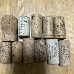 Item thumbnail for item 9133aaaf-4483-4279-a17a-c4d307cefeeb