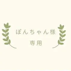 ぽんちゃん様専用