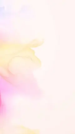 @Rino様専用