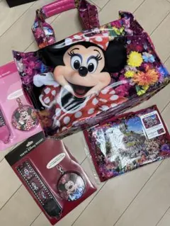 東京ディズニーリゾート ミニー カメラストラップ カメラバッグ セット 東京ディズニーリゾート ミニー カメラストラップ カメラバッグ セット