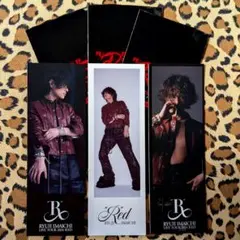 【RYUJI IMAICHI ②】RED Photo Card Set 今市隆二