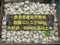 奈良県産自然栽培乾燥ニンニク500gのサムネイル