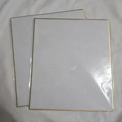 ミニ 色紙 無地 金縁 正方形 2枚セット