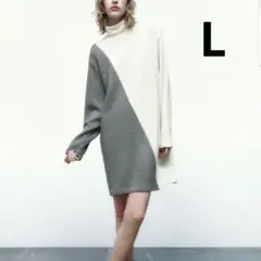 ZARAショートソフトワンピース