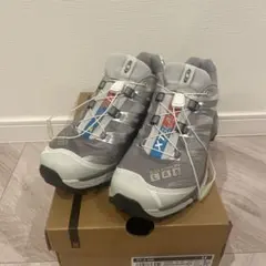 【美品】Salomon XT-4 OG 24.5 サロモン