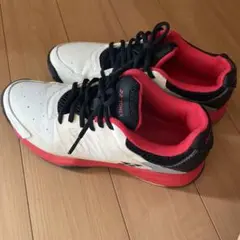 ヨネックス　シューズ　24