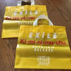 非売品♡LDH♡EXILE Kiminimuchu トラステ  ショップ袋