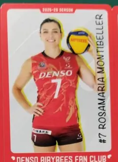 デンソーエアリービーズ　ロザマリア選手　Gdragon様用