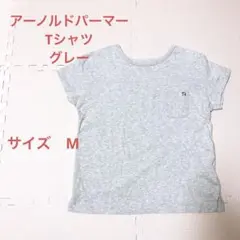 アーノルドパーマー　Tシャツ　トップス　半袖　シャツ　サイズMのサムネイル