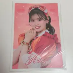 とき宣 坂井仁香（ひとちゃん） 組長くじ 2025 春 クリアファイル