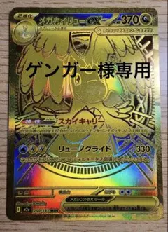 ゲンガー様専用