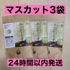 ❤️【新品未開封】みらいのこうそ マスカット味 3袋セット - メルカリ