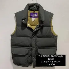 2026年最新】THE NORTH FACE PURPLE LABEL メンズ ダウンベスト