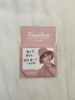 SEVENTEEN セブンティーン セブチ エスクプス