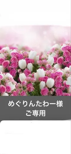 めぐりんたわー様ご専用