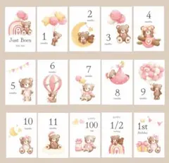 月齢カード マンスリーカード 月齢フォト ニューボーンフォト くま 色違いあり