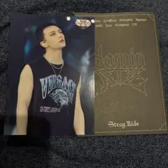 Stray Kids Hyunjin dominATE VRランダムトレカ