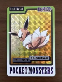ポケモン イーブイ FILE No.133