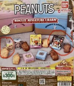 PEANUTS ビスケットミニチュアチャーム スヌーピー