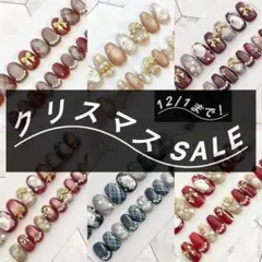 ⭐︎12/1まで　クリスマスセール⭐︎