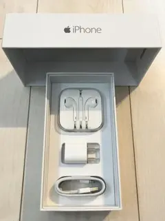 iPhone 純正イヤホン ケーブル 電源アダプター アクセサリーセット