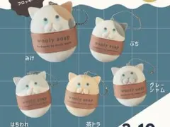 ま　様　リクエスト 2点 まとめ商品　はちわれ　茶トラ