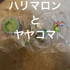 ぽけっとBONSAI2 小さな四季の物語