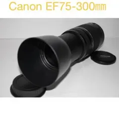 ❤️ど迫力の超望遠レンズセット❤️Canon EOS kiss X❤️ キヤノン Canon EOS kiss Digital X レンズキット : カメラの