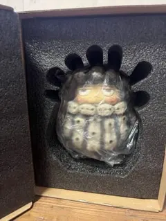 Vin x Robin Huang POH Copiapoa