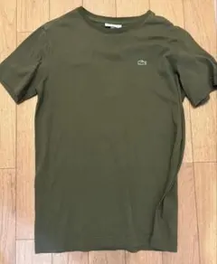 LACOSTE クルーネック Tシャツ オリーブグリーン