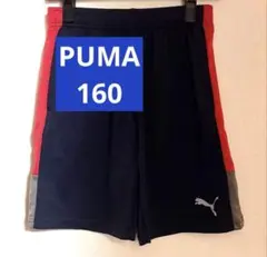 プーマ PUMA トレーニング ハーフパンツ ジュニア キッズ 160